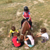 El Club de la Herradura: la experiencia perfecta con ponis para ni&ntilde;os en Zaragoza