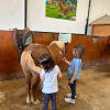 Beneficios de montar en poni para los ni&ntilde;os: aprendizaje, deporte y diversi&oacute;n en Pony Club Arag&oacute;n