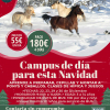 CAMPUS DE DÍA PARA ESTA NAVIDAD