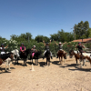 El Campamento de Verano 2026 de Pony Club Arag&oacute;n llenan el verano de aprendizaje y diversi&oacute;n
