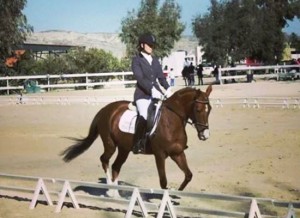 Doma en escuela de caballos con picadero cubierto