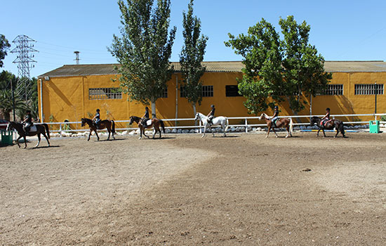 Pista_de_ponys Donde montar a caballo en zaragoza