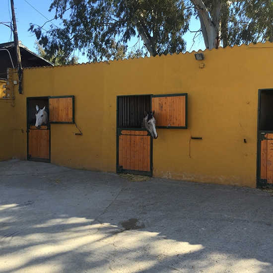 Pupilaje y Estabulación de Caballos - Paddocks y Boxes