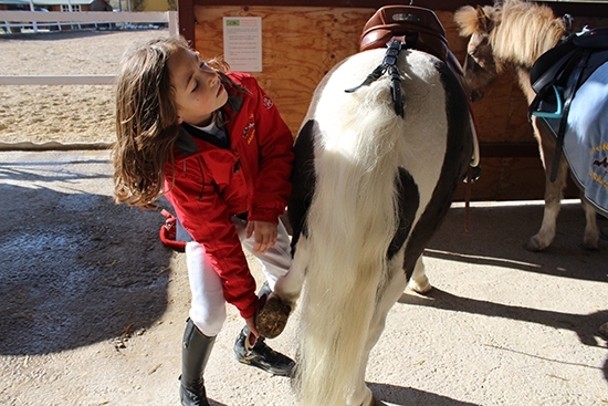 Club de la Herradura