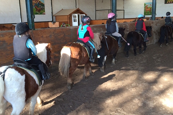 Club de la Herradura