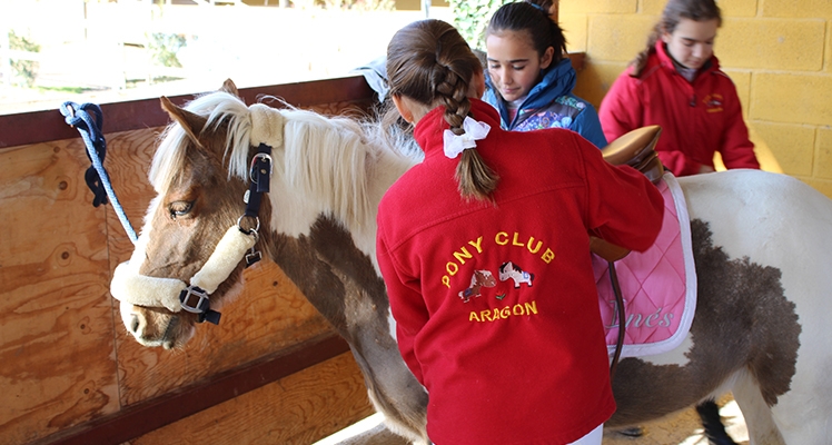 excursiones a caballo