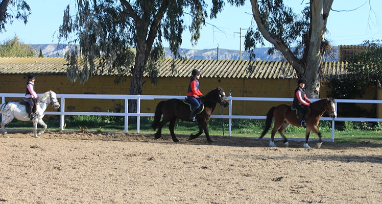 excursiones a caballo