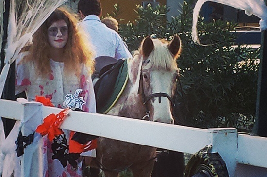 Actividades de Niños con Caballos en Zaragoza