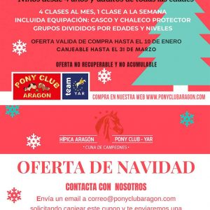 OFERTA DE NAVIDAD: BONO DE 4 CLASES