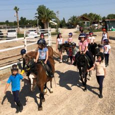 ponyclub-aragon-cumples-10