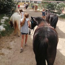 ponyclub-aragon-cumples-9