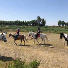 ponyclubaragon-campamentos-14