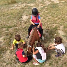 ponyclubaragon-excursiones de-colegios-4