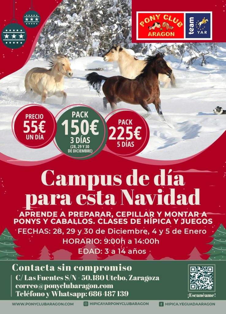 oferta-Campus-de-navidad-2026-A6